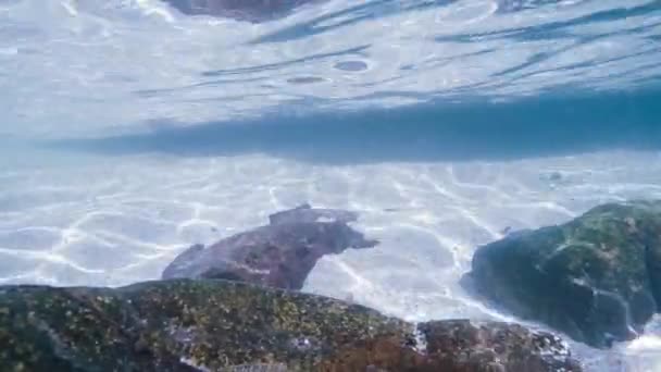 Sonnenstrahlen Sonnenstrahlen strahlen unter Wasser. Unterwasseraufnahme von Ökosystem und Meeresboden im türkisfarbenen Ozean. — Stockvideo