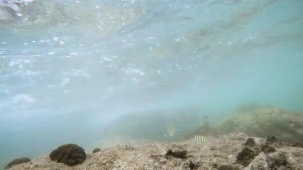 Rayos de sol rayos de sol bajo el agua. Inyección submarina de ecosistema y fondo oceánico en océano turquesa. — Vídeo de stock