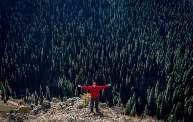 Sırt çantalı bir dağcı, yürüyüş direkleri ve kar ayakkabıları kar üzerinde Ladin ormanının arka planındaki kış dağlarında.