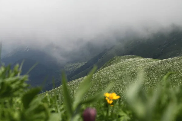 Spring landscapes in mountains — Stock Photo, Image