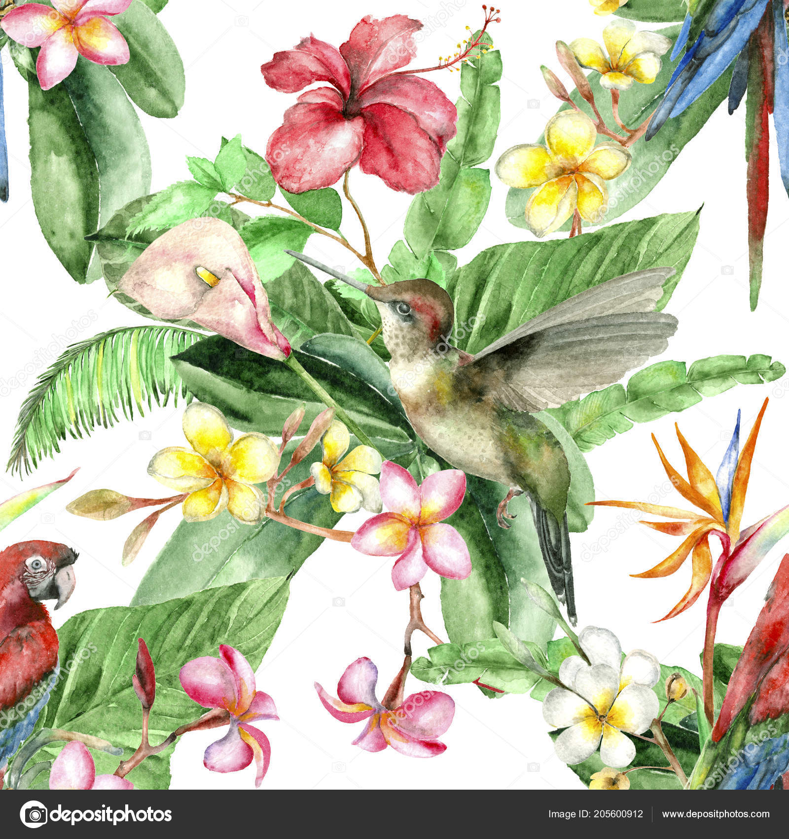 Watercolor Seamless Pattern Tropical Bird Colibri Parrot Palm Leaves Plumeria Stock Photo By C Ivofet Watercolor Seamless Pattern Tropical Bird Colibri Parrot Palm Leaves Plumeria Stock Photo By C Ivofet