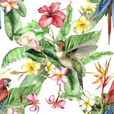 Sulu boya Dikişsiz desen tropik kuş colibri ve papağan, palmiye yaprakları, plumeria ve üzerinde beyaz izole ebegümeci.