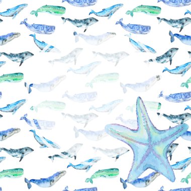 Suluboya şablon kartı