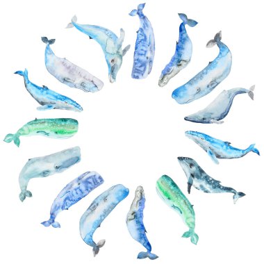 Suluboya şablon kartı