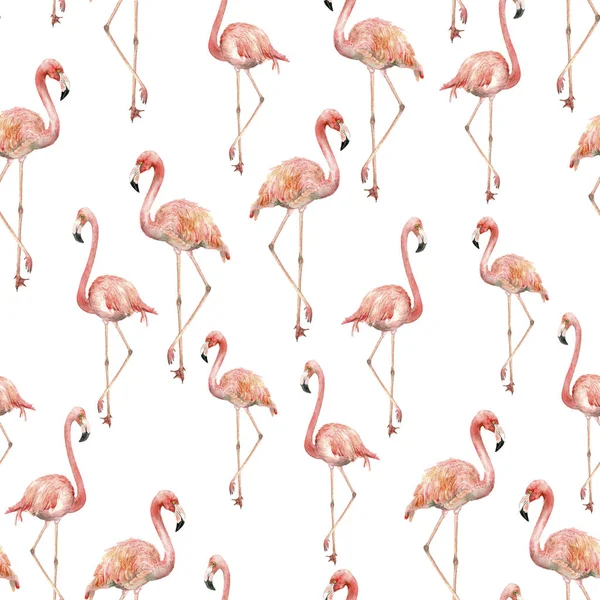 Akwarela flamingo wzór — Zdjęcie stockowe