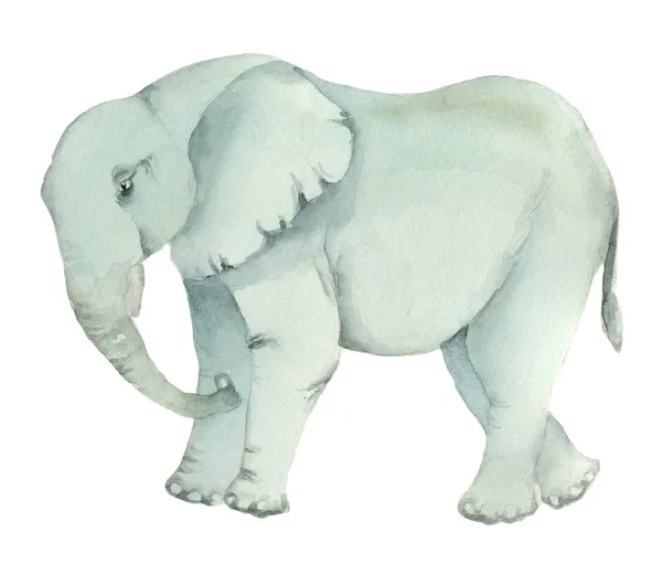 Ręcznie rysowane turkus słoń — Zdjęcie stockowe