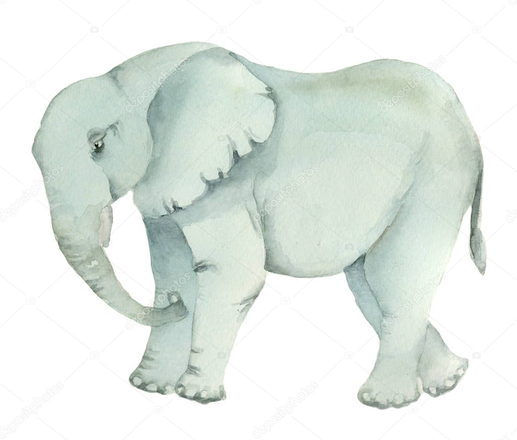 hand drawn turquoise elephant