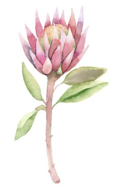 Sulu sulu boya içinde