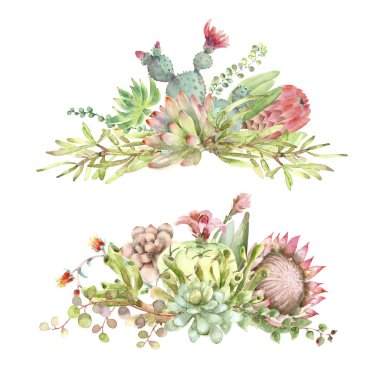 Succulents buket suluboya