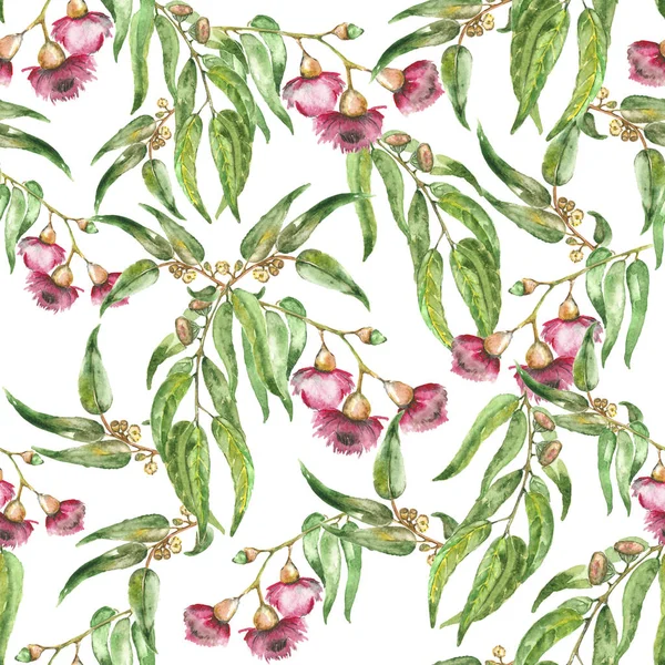 Flowers of eucalyptus seamless pattern — Stock Photo, Image