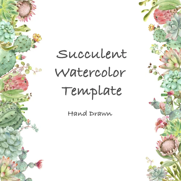 Succulents banner watercolor — Stock Photo, Image