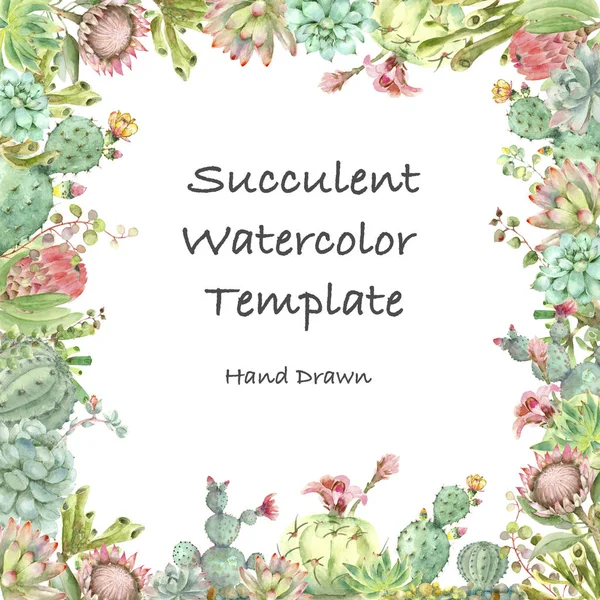 Succulents card watercolor — Stock Photo, Image