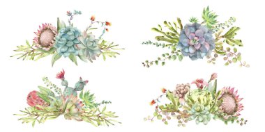 Succulents buket suluboya