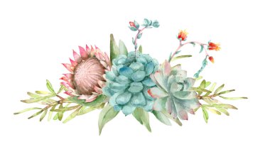 Succulents buket suluboya