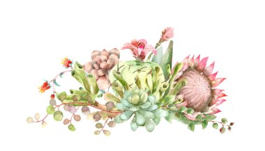 Succulents buket suluboya