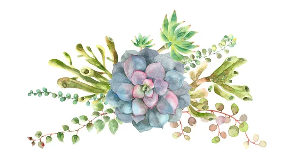 Succulents 꽃다발 수채화 — 스톡 사진