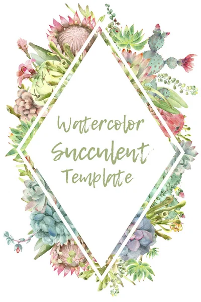 Succulents card watercolor — Stock Photo, Image