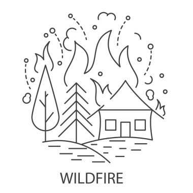 Orman yangını doğal afet