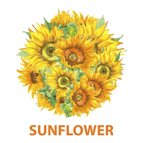 Sunflower circle banner watercolor — Stock Photo, Image