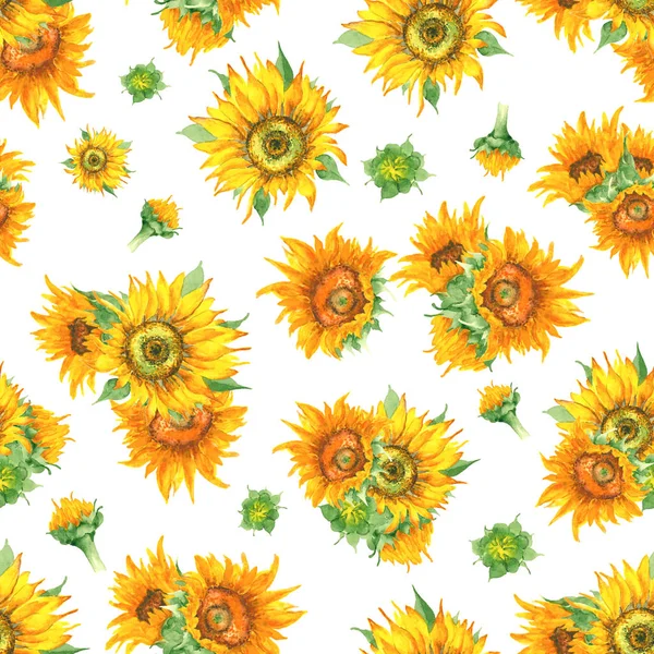 Warna air tanpa gambar bunga matahari — Stok Foto