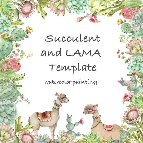 Desert Alpaca template watercolor — Stock Photo, Image