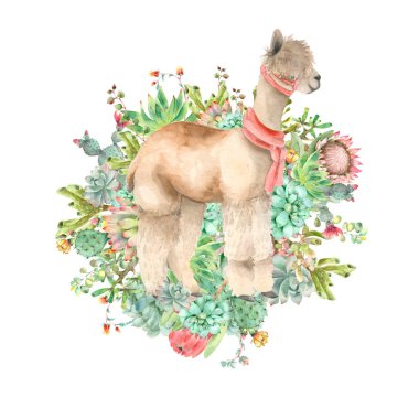 Çöl Alpaca Banner suluboya