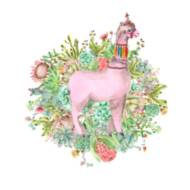 Çöl Alpaca Banner suluboya