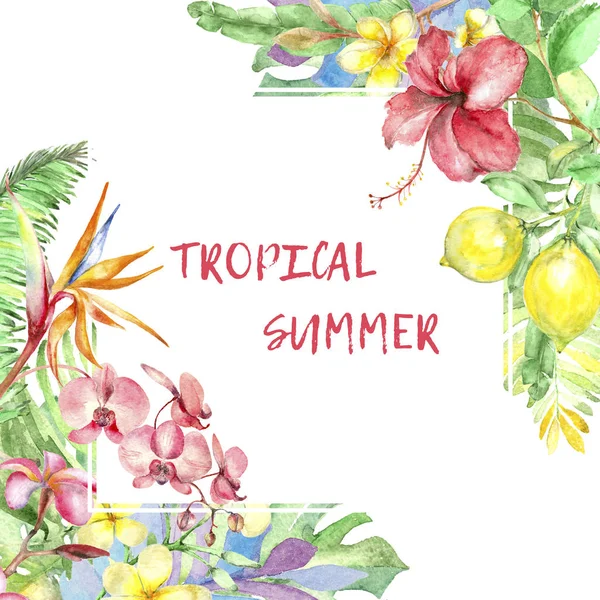 Watercolor tropic template — Stock Photo, Image