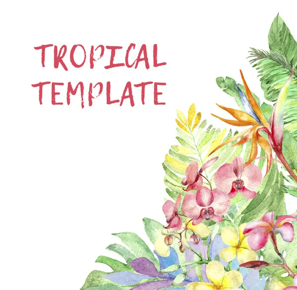 Modèle tropique aquarelle — Photo