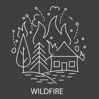 Orman yangını doğal afet