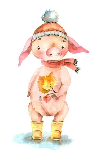 Şapka sonbahar sevimli çocuk piglet — Stok fotoğraf