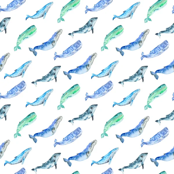 Watercolor whales pattern — Stock Photo, Image