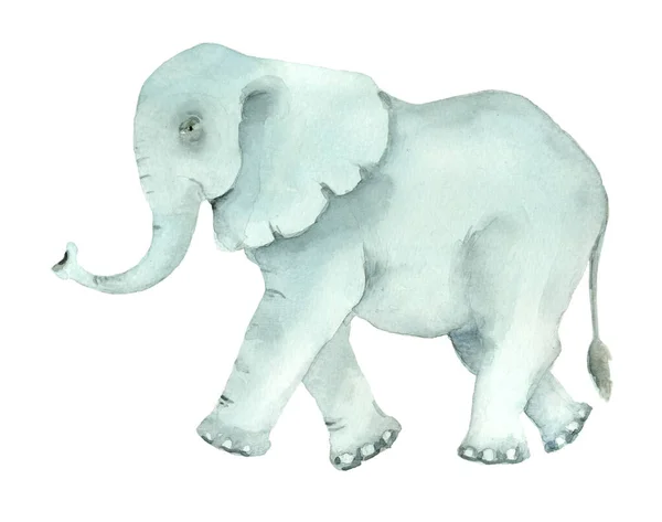 Elefante turquesa desenhado à mão — Fotografia de Stock