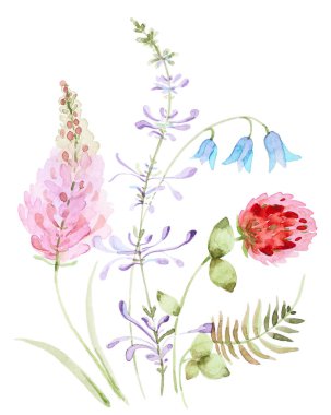 Watercolor bouquets of clover and bell