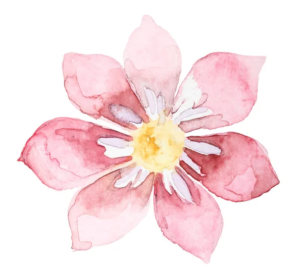 Watercolor hand drawn flower — ストック写真