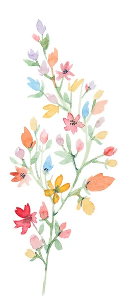 Акварельна гілка дикої квітки — стокове фото