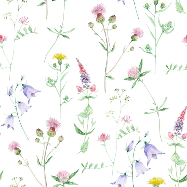 Wildflower watercolor pattern — Stock Photo, Image