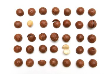 Beyaz arka planda kabuklu ve kabuksuz Macadamia fındıkları.