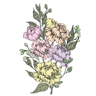 Şakayık suluboya buket. Vintage tebrik kartı için el-çizilmiş vektör çizim.