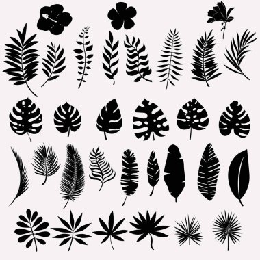 Tropik bitki seti. Palmiye yapraklarının siyah siluetleri, muz bitkileri, canavarlar, beyaz arka planda izole tropik çiçekler..