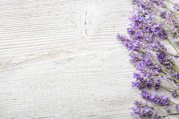 Kvistar Lavendel Trä Bakgrund — Stockfoto