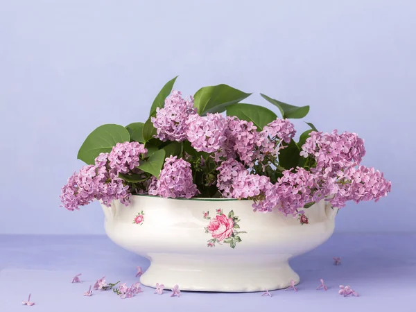 Lila Boeket Lichte Violette Achtergrond Stockfoto