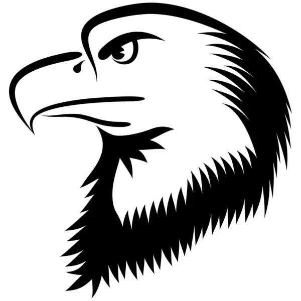 Lineare Zeichnung Weißkopfseeadler — Stockvektor
