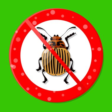 Colorado patates böceğine hayır. (Leptinotarsa decemlineata)