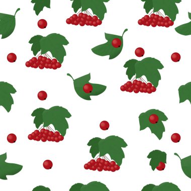 Viburnum böğürtlenleri