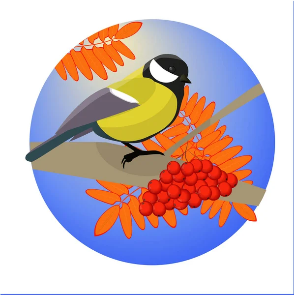 Rowan sonbaharda ve meme faresinde