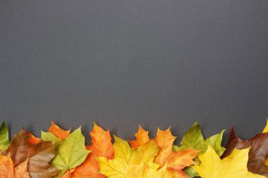 Renkli sonbahar akçaağaç yaprakları siyah üzerine