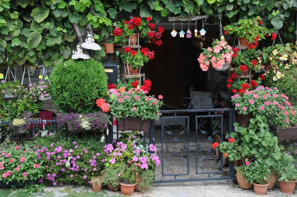 Växter Och Blommor Framför Ingången Till Huset — Stockfoto