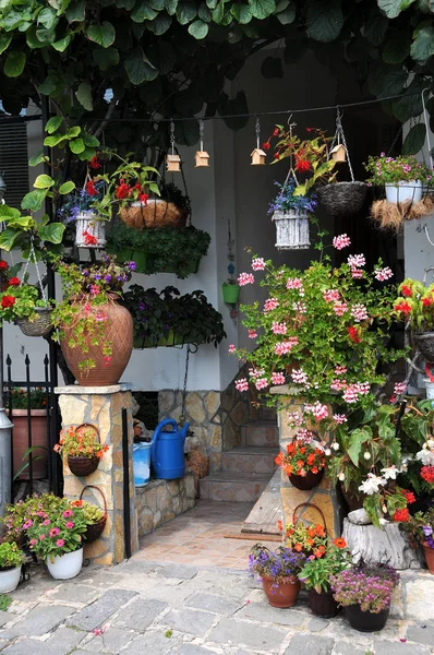 Jardim de Verão em frente à casa — Fotografia de Stock