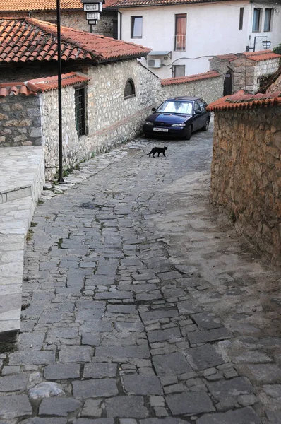 Ohrid Makedonya Ağustos 2018 Kara Kedi Old Town Şeritte — Stok fotoğraf